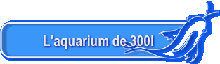 L'aquarium de 300l