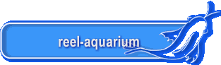 reel-aquarium