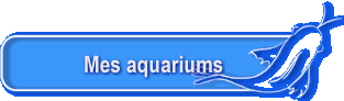 Mes aquariums