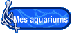 Mes aquariums