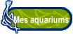 Mes aquariums