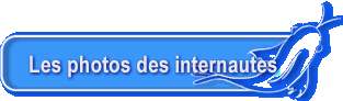 Les photos des internautes