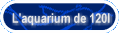 L'aquarium de 120l